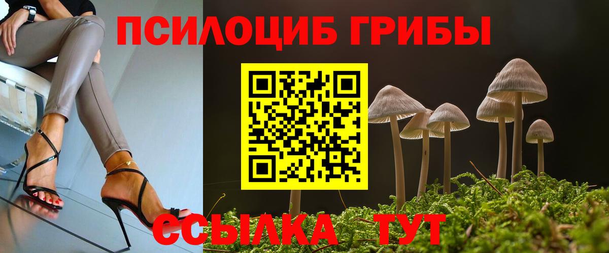 Псилоцибиновые грибы мухоморы  Вход с VPN  где купить наркотик  Киров 