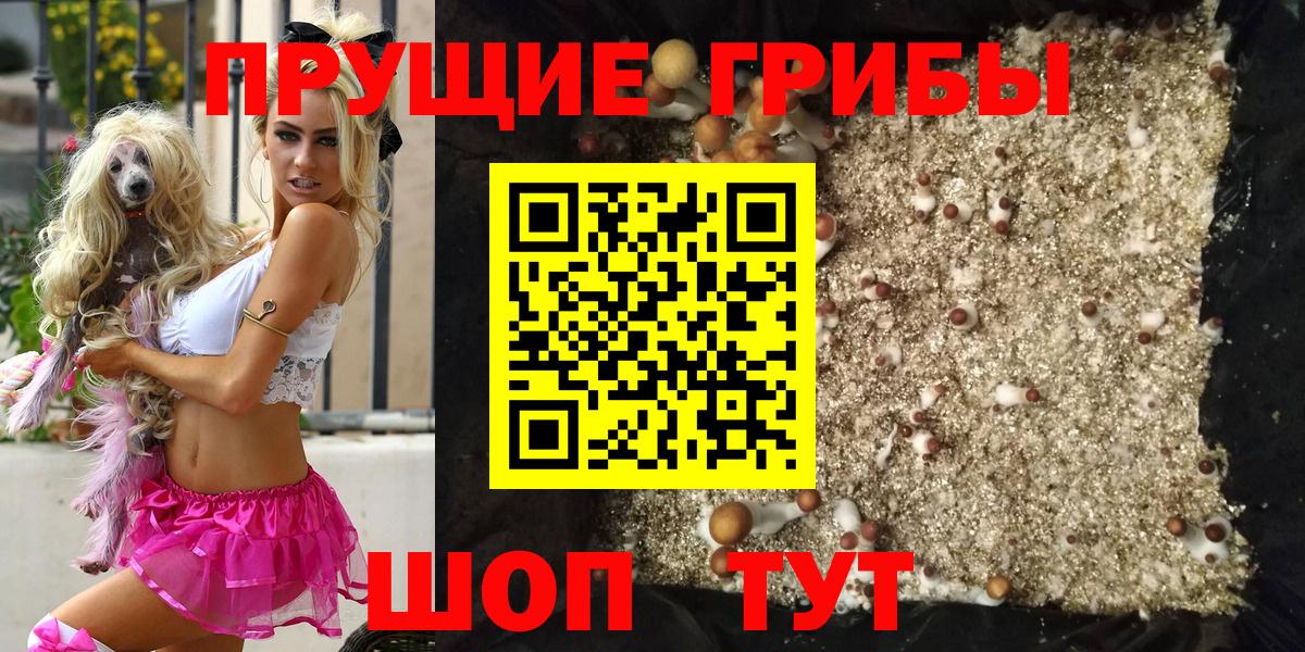 Галлюциногенные грибы GOLDEN TEACHER Киров